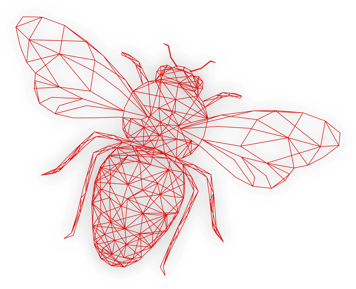 bee-wireframes