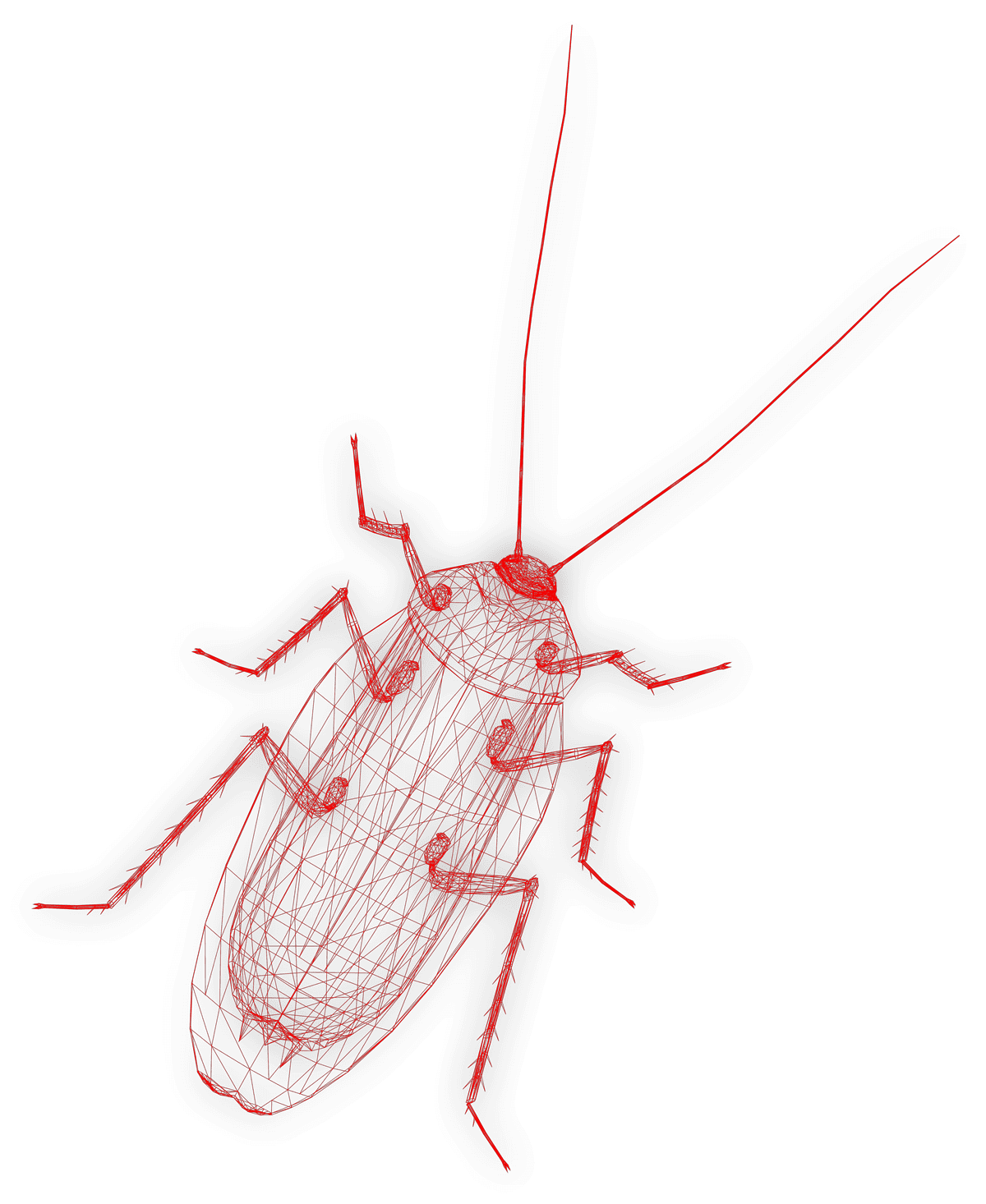 cockroach-wireframes